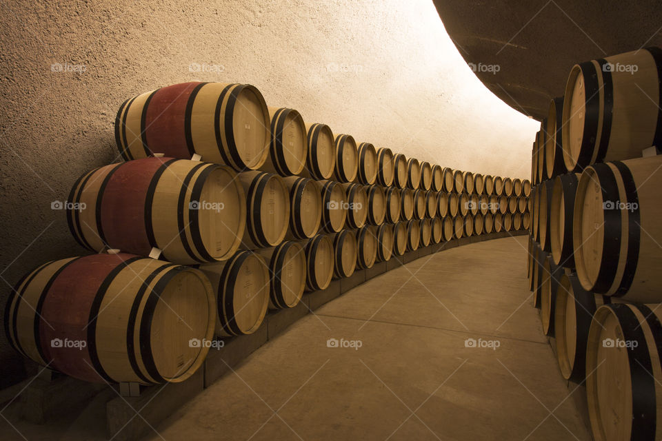 Napa valley wine barrels