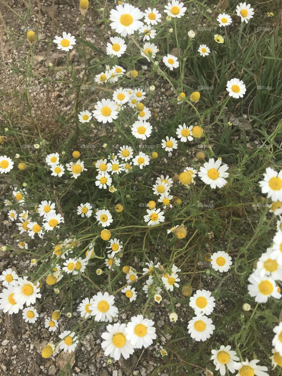 Serra da estrela, Portugal 🇵🇹