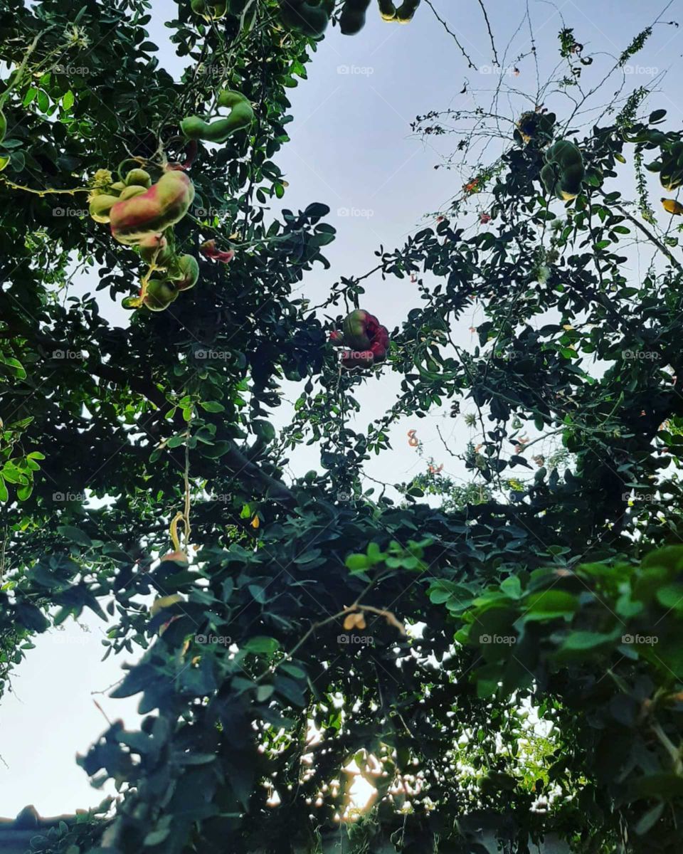 I am poor. I want your support. Stop it