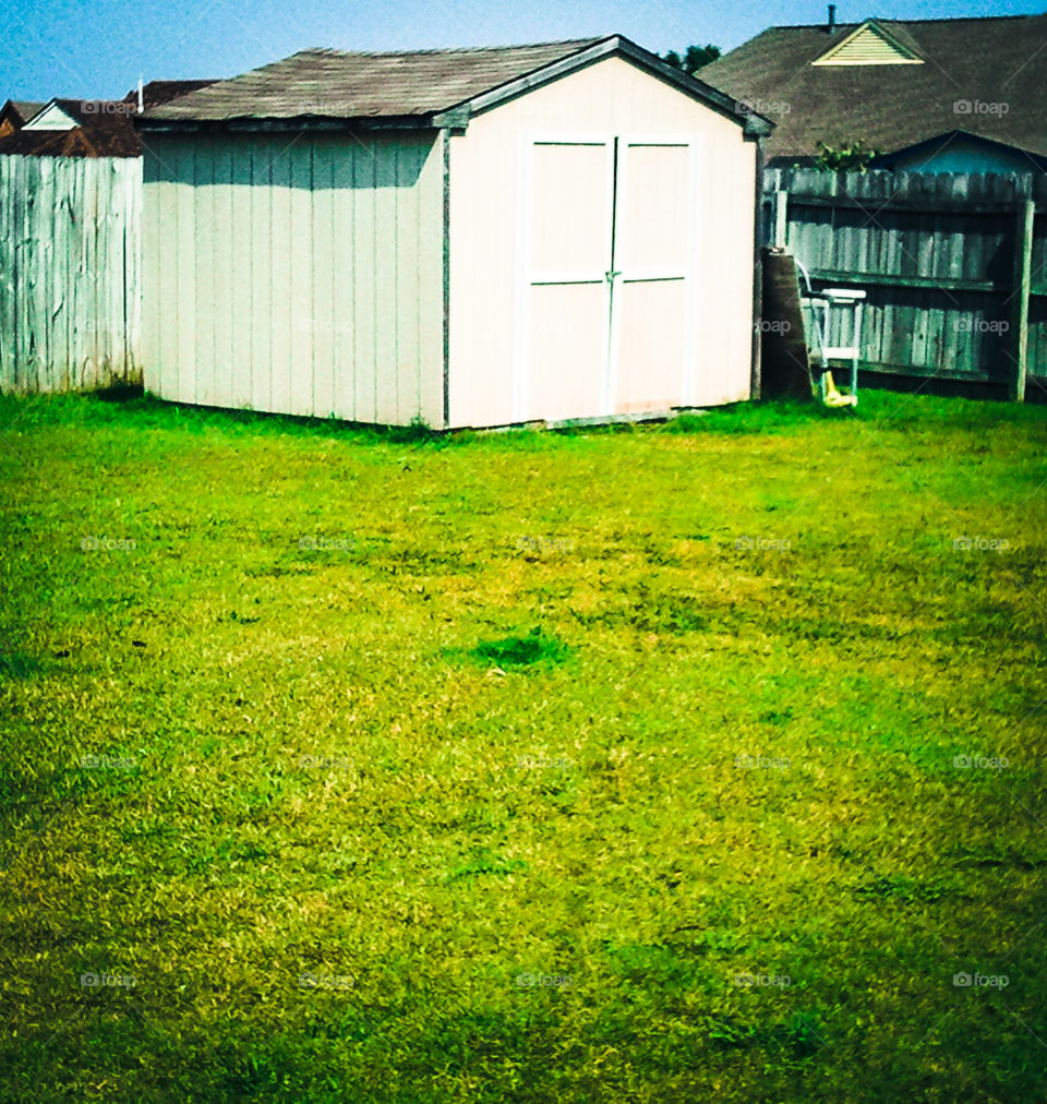 Sunny Shed. A shed laying on lush green grass in the sunlight.