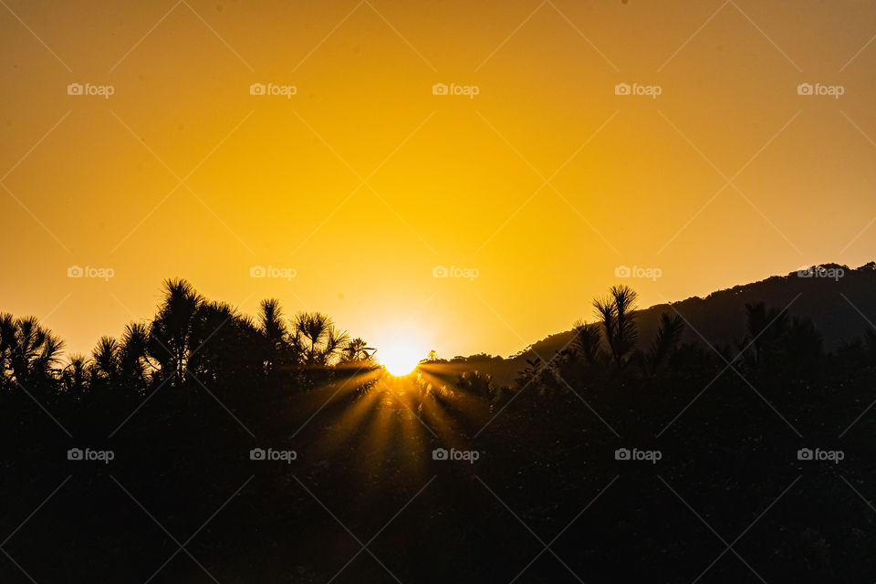 Sunset on an orange sky of a beach in Brazil, silhouettes of trees