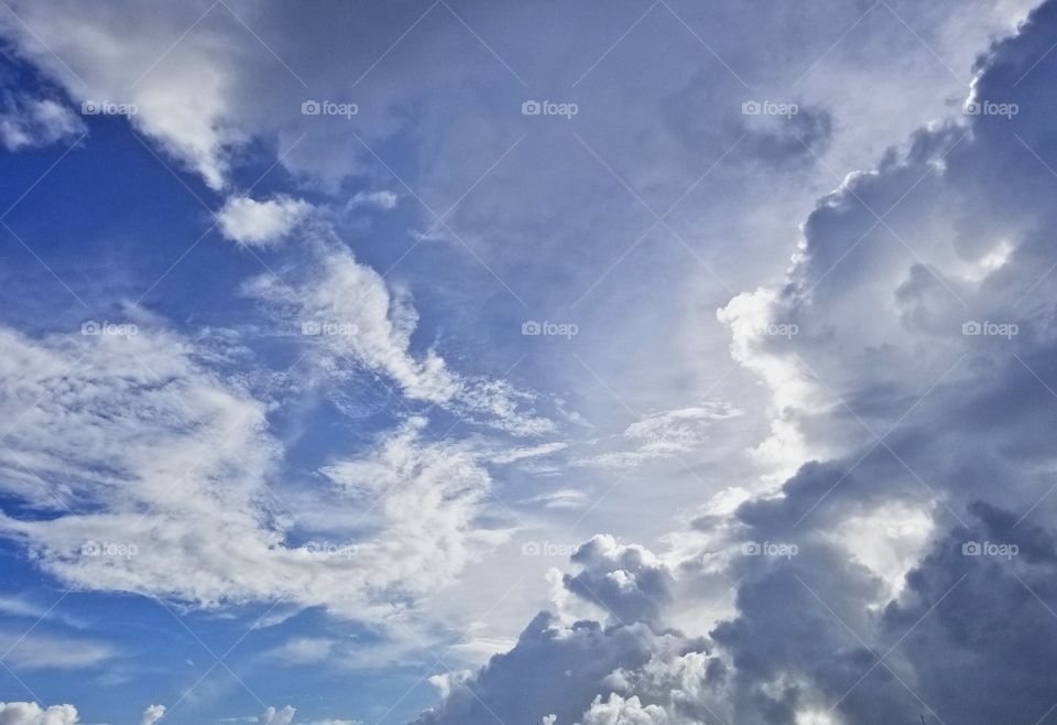 looking up...towards a beautiful day in the sky