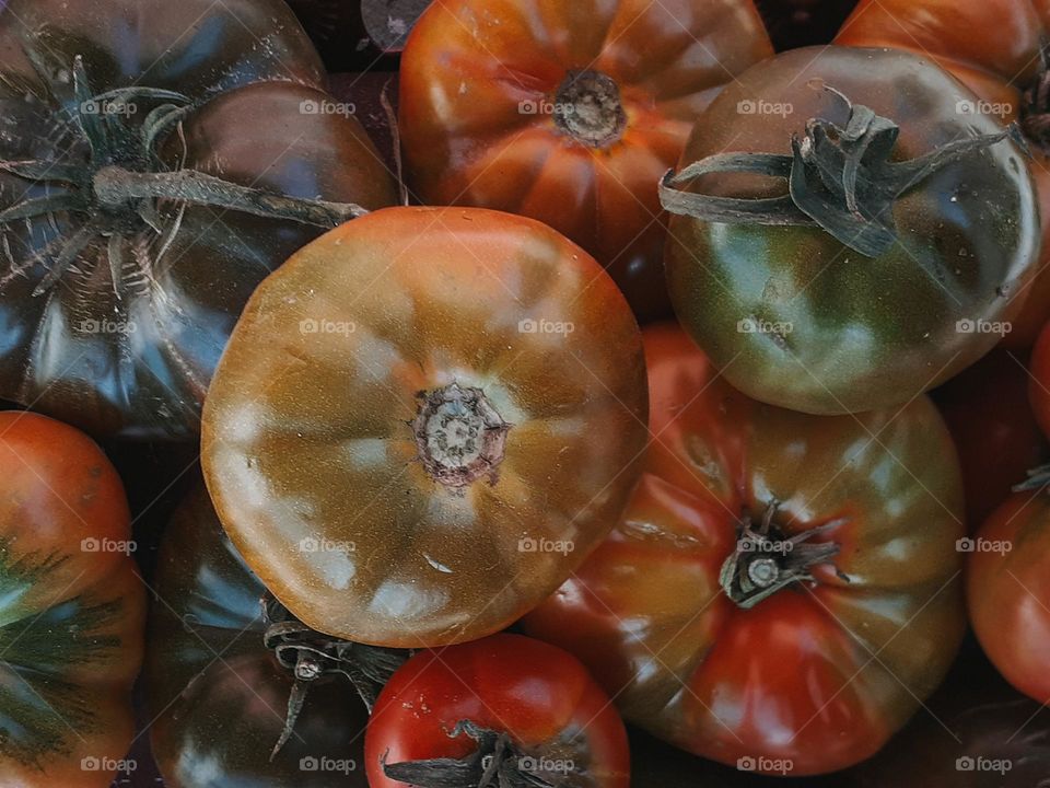 Ukrainian tomatoes are grown at home