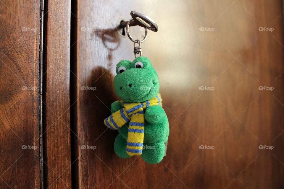 Frog toy hanging on the closet key