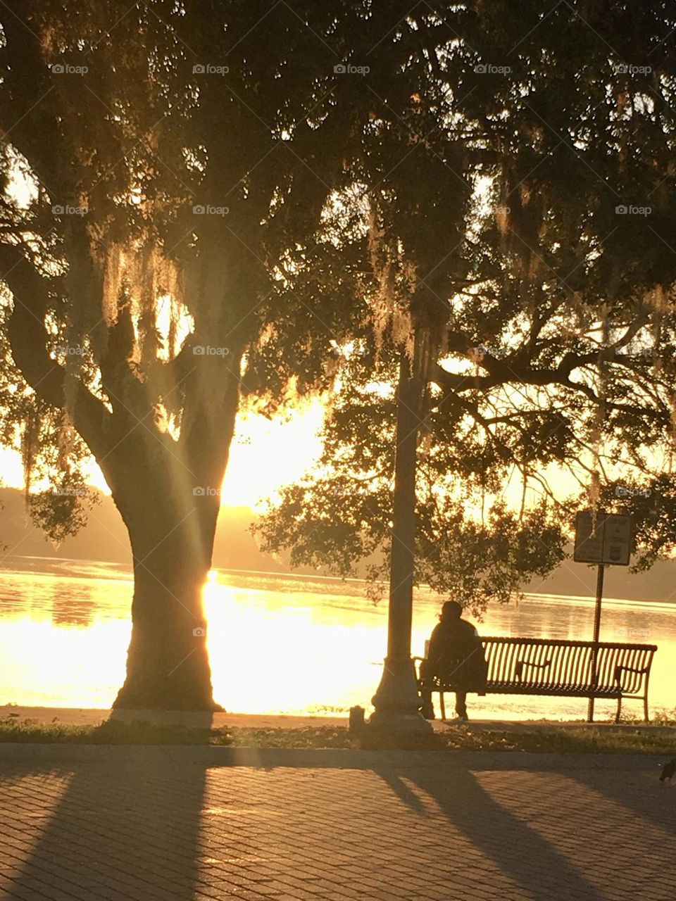 Sunny morning at the park by the lake 