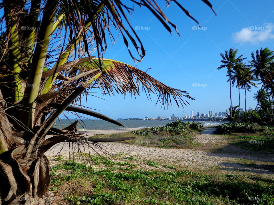 beach of Paraíba Brasil