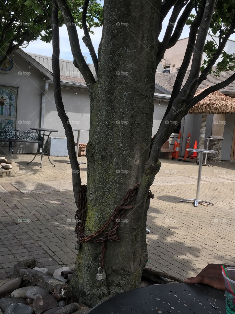 Street, Tree, Landscape, City, Storm