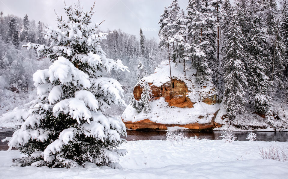 Snow. Winter. River.