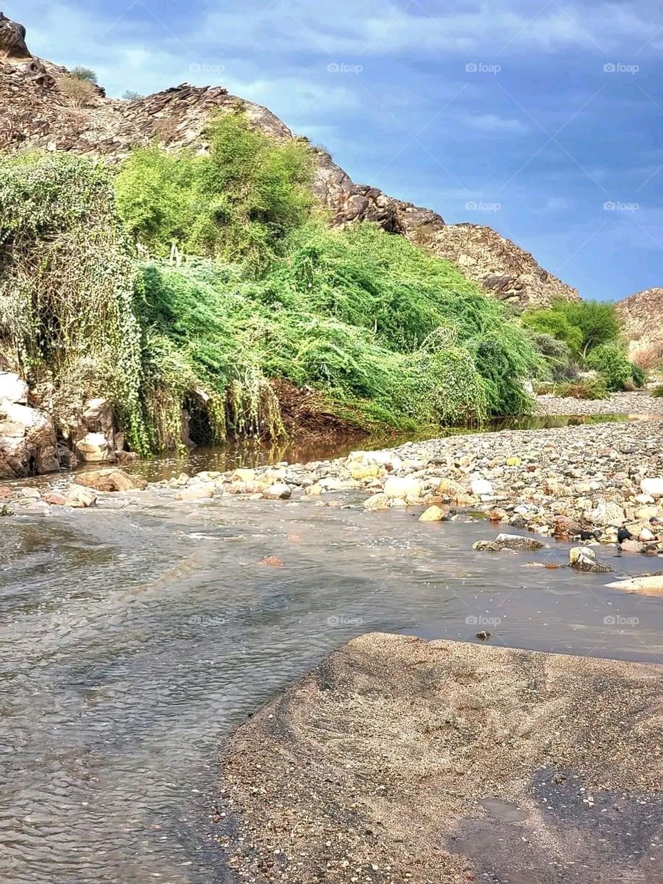 Glory be to God, the magnificent and picturesque view and the natural green trees are a view that is nothing more wonderful than it