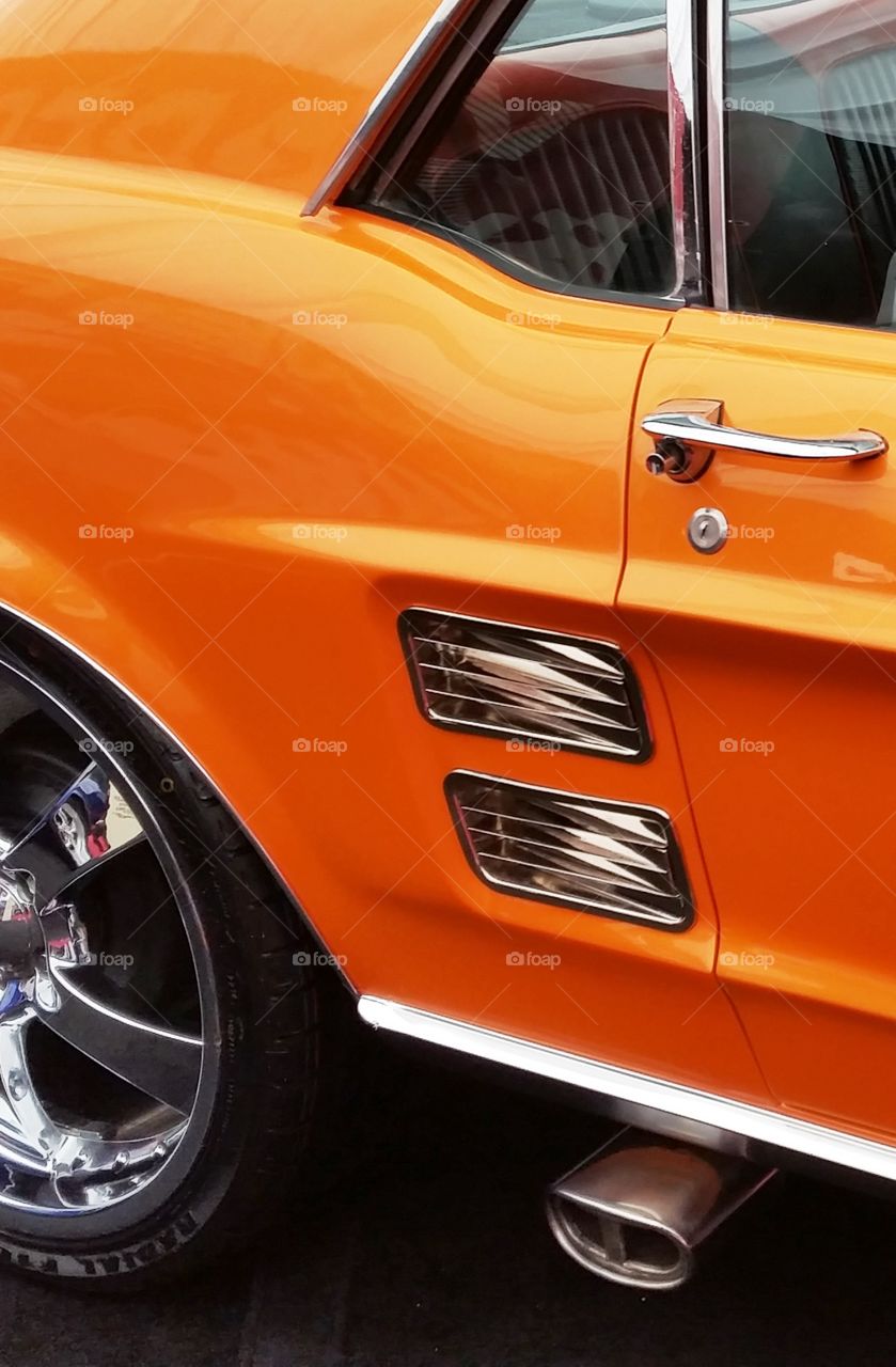The Car - Mustang