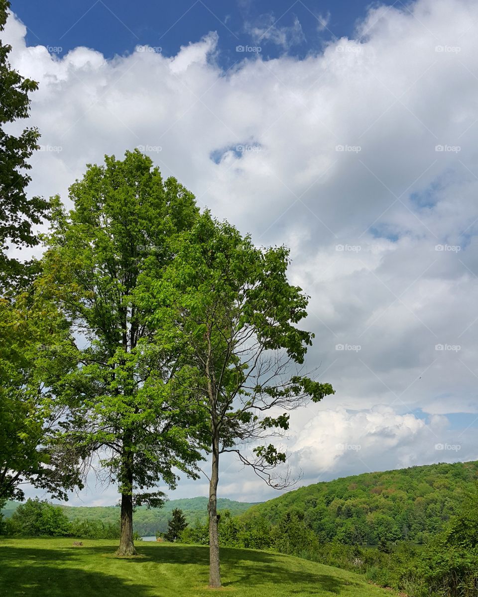 Pennsylvania mountains