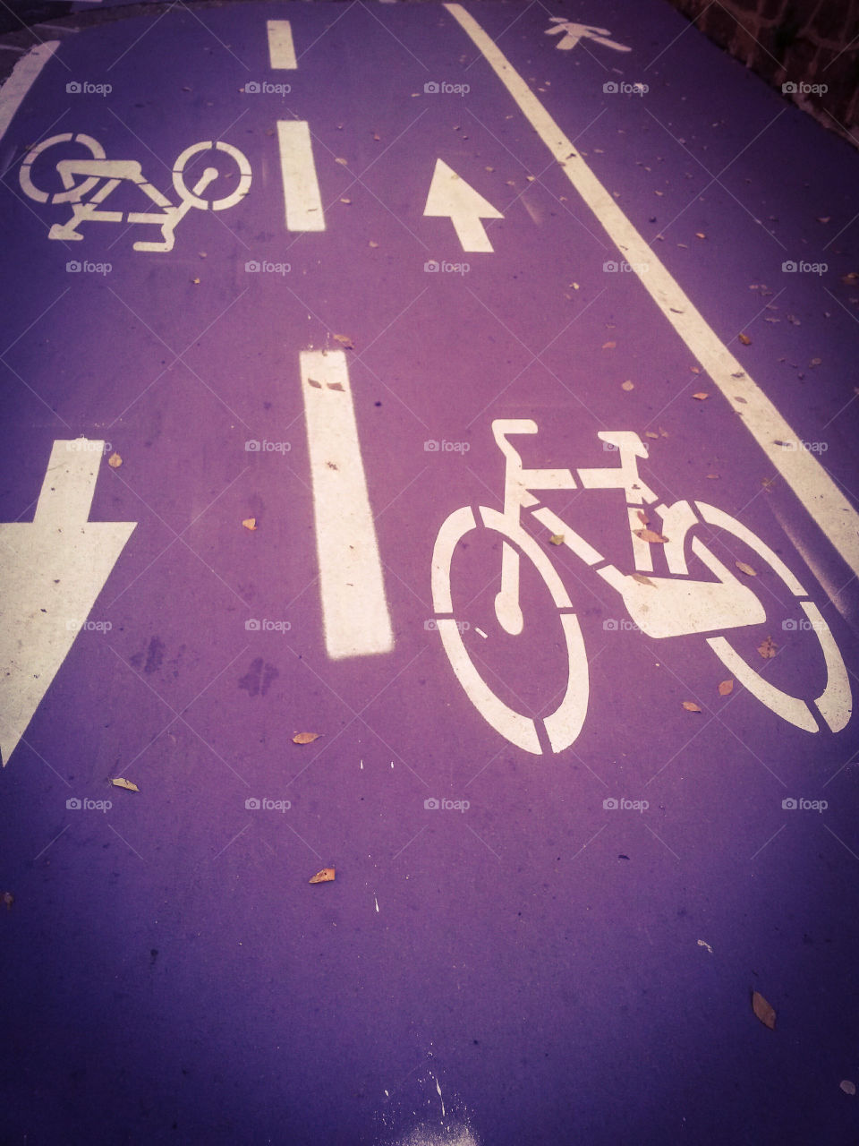 purple bicycle lane