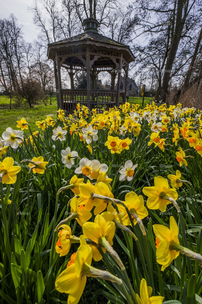 Gazebo