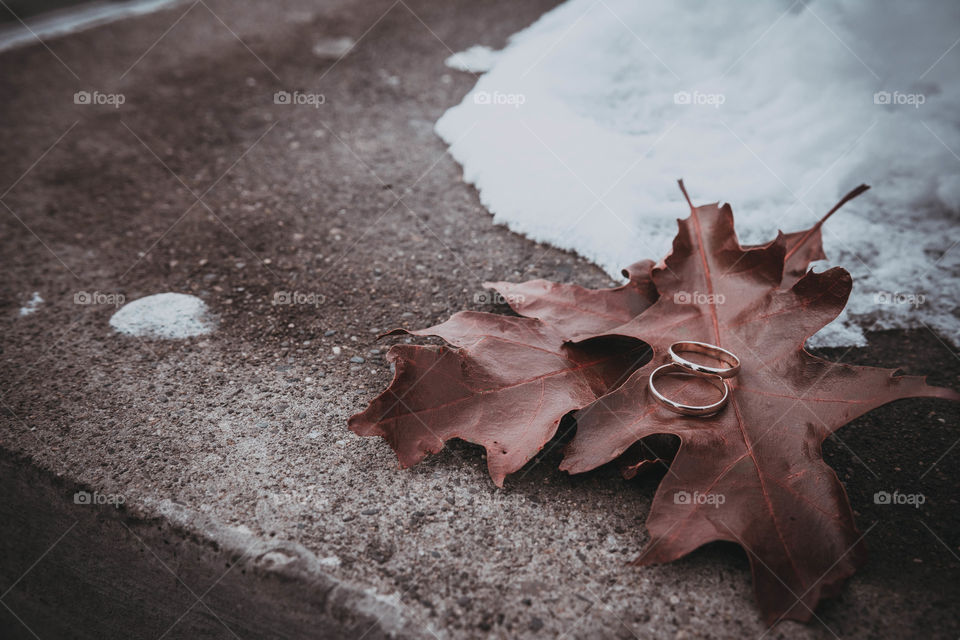 Rings are laying on autumn leaves