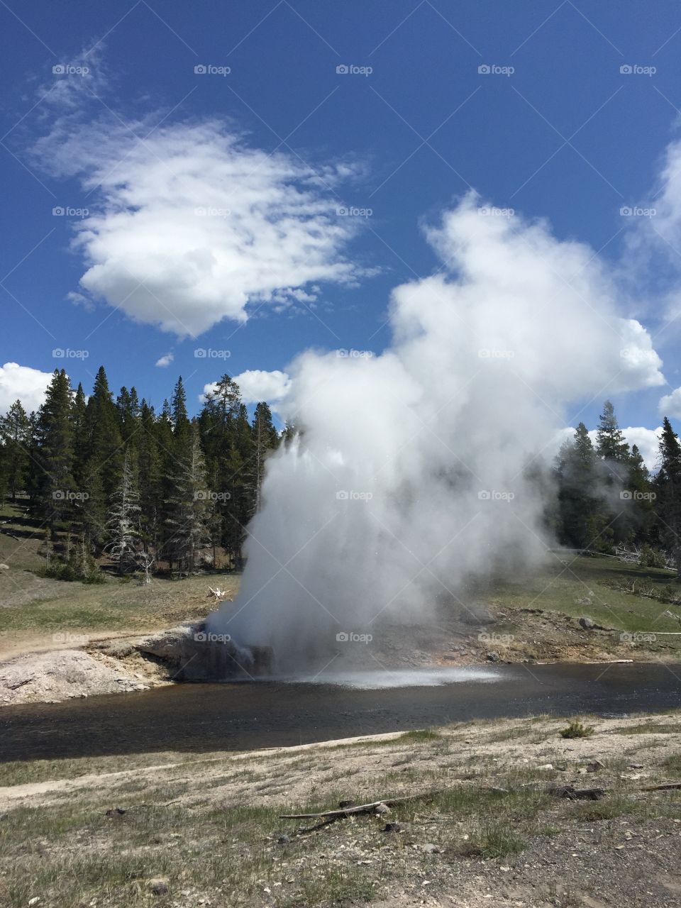 Erupting geyser at Yellowstone 