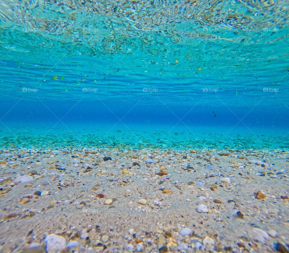 This picture represents the beauty that can be hidden in the depths of a clear and clean sea.