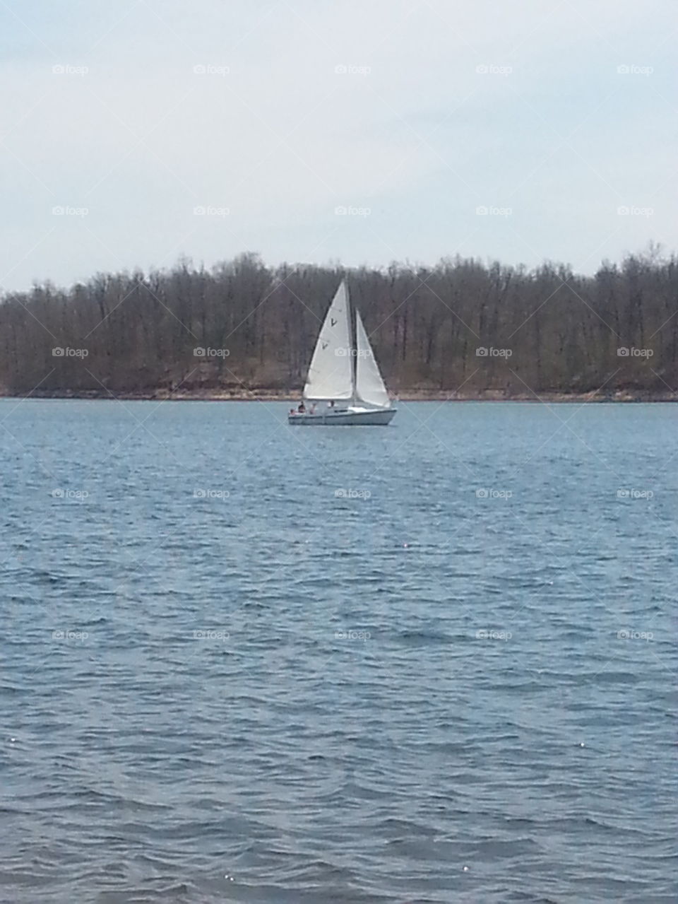 sailing in the wind
