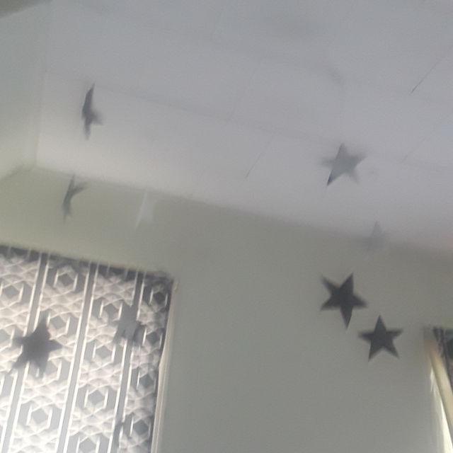 indoor stars