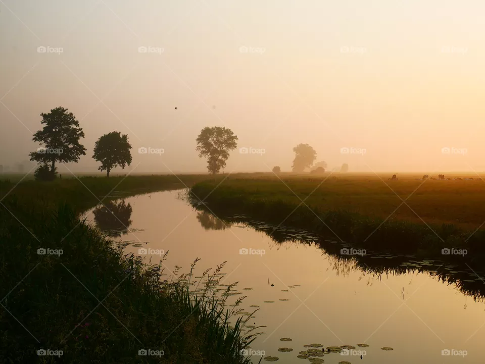 sunrise