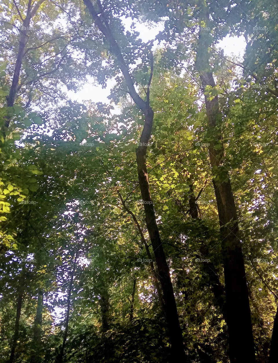 park