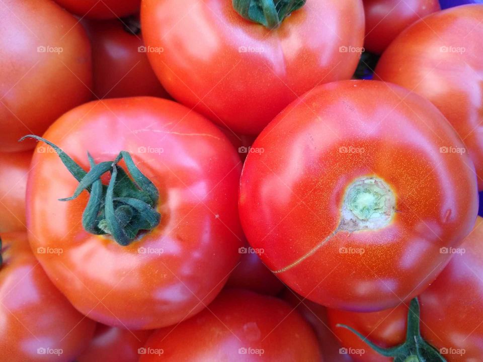 fresh tomatoes #2