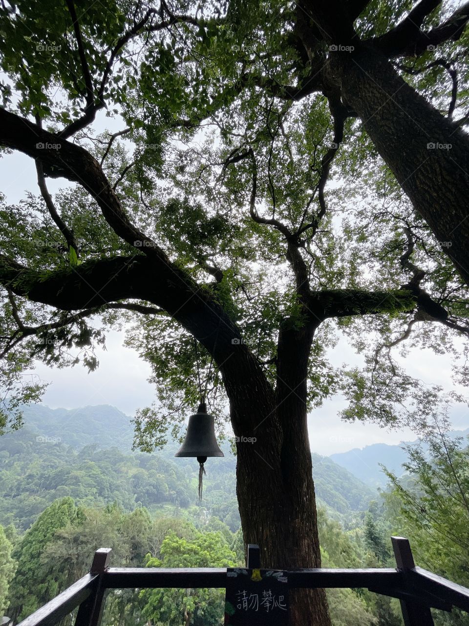 The bell hang on a tree