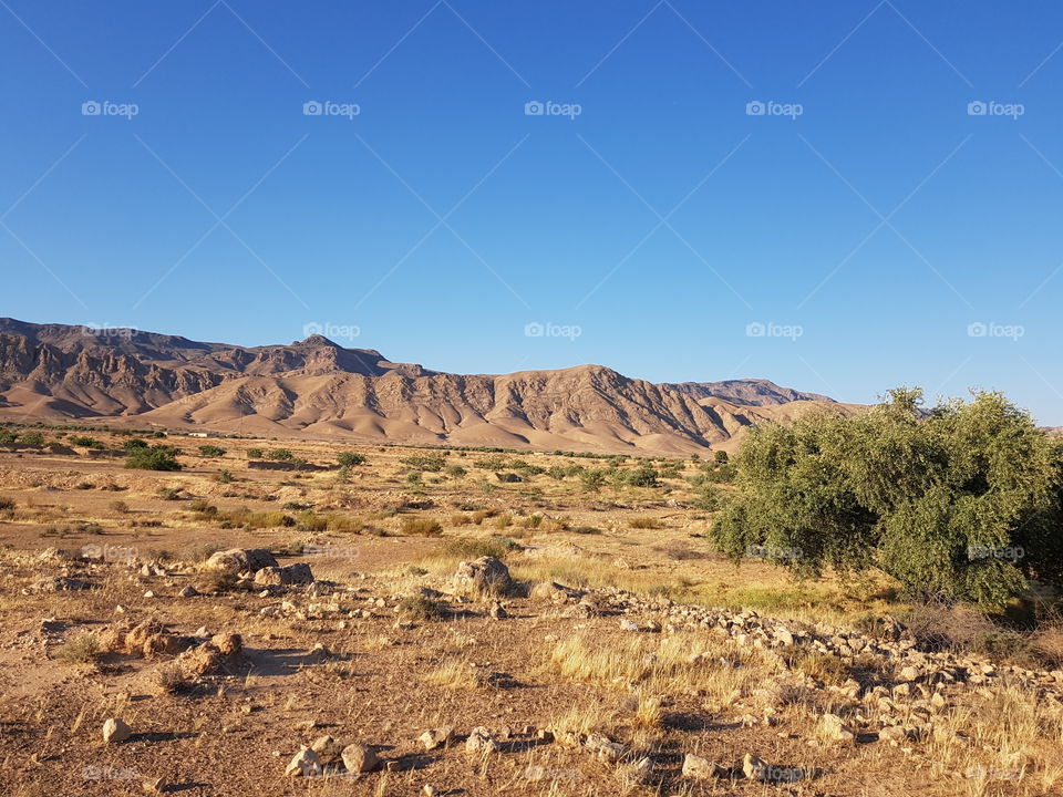 Desert, Landscape, No Person, Sky, Arid