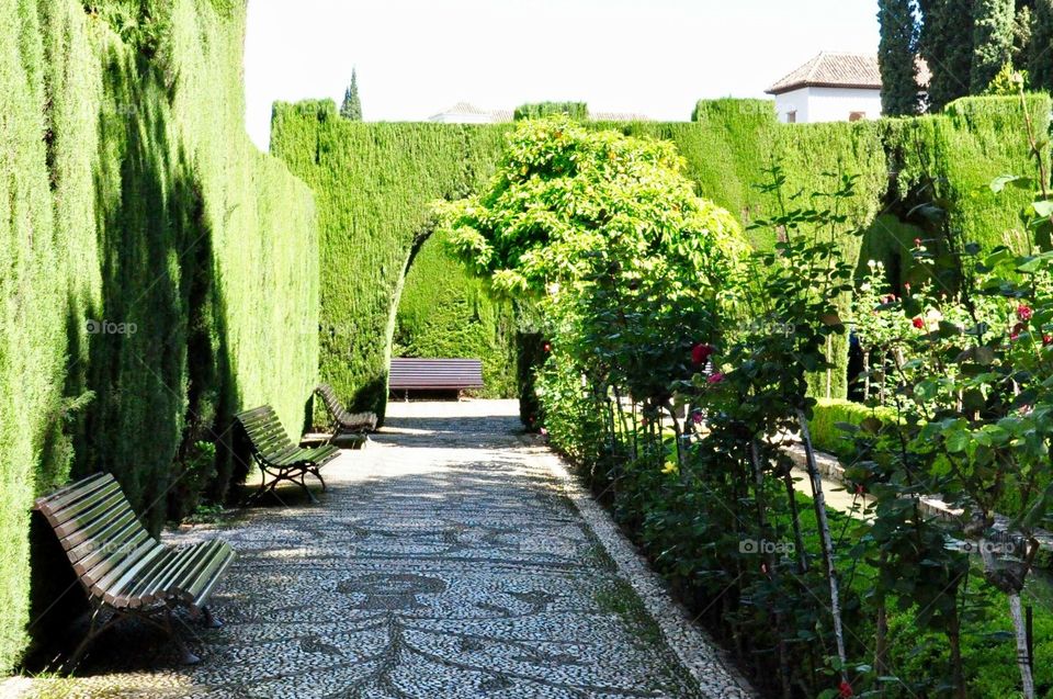 Alhambra, Spain  gardens
