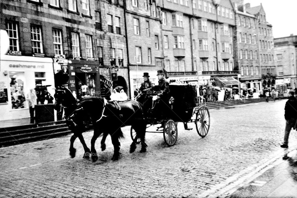 Horse-Drawn Carriage . taken on Royal Mile in Edinburgh, Scotland 