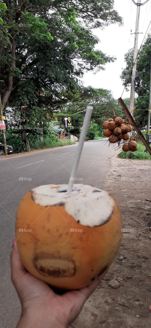 Tender Coconut