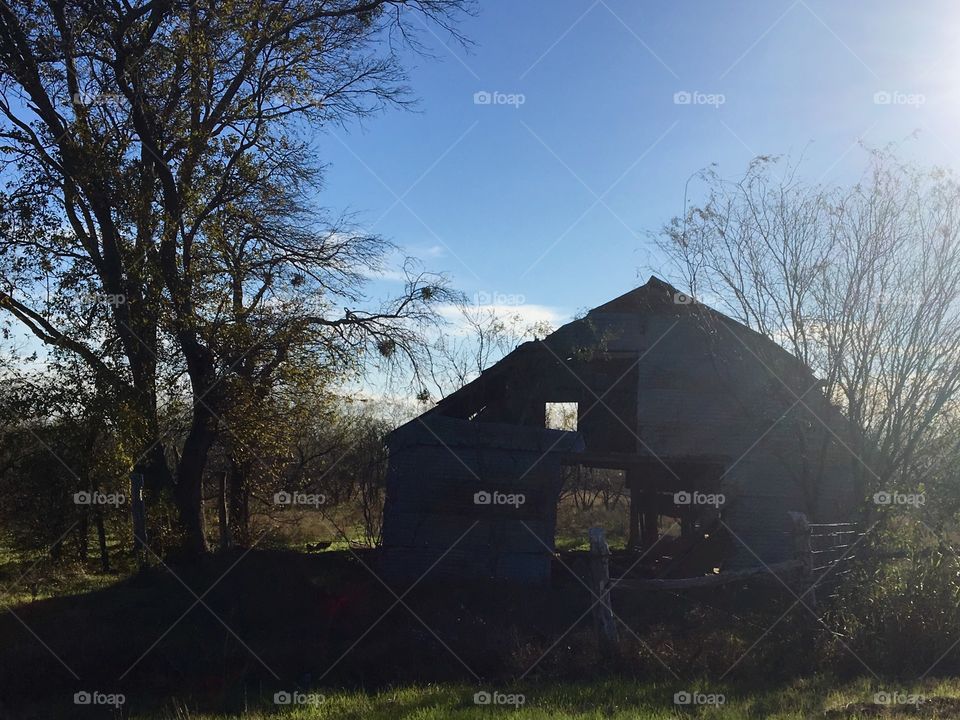Sunshine over old barn 