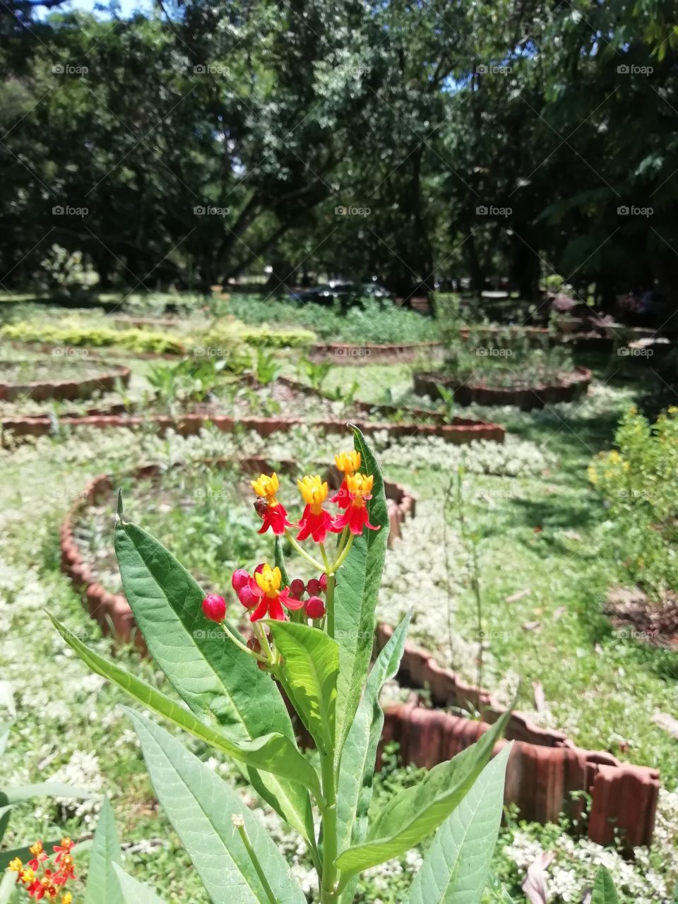 It's a great day of meeting these beautiful ladies #flowers