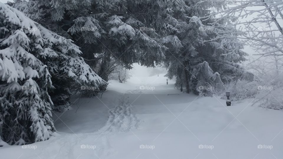 black and white . our climb was 1000 steps from the snow but it was just an uphill