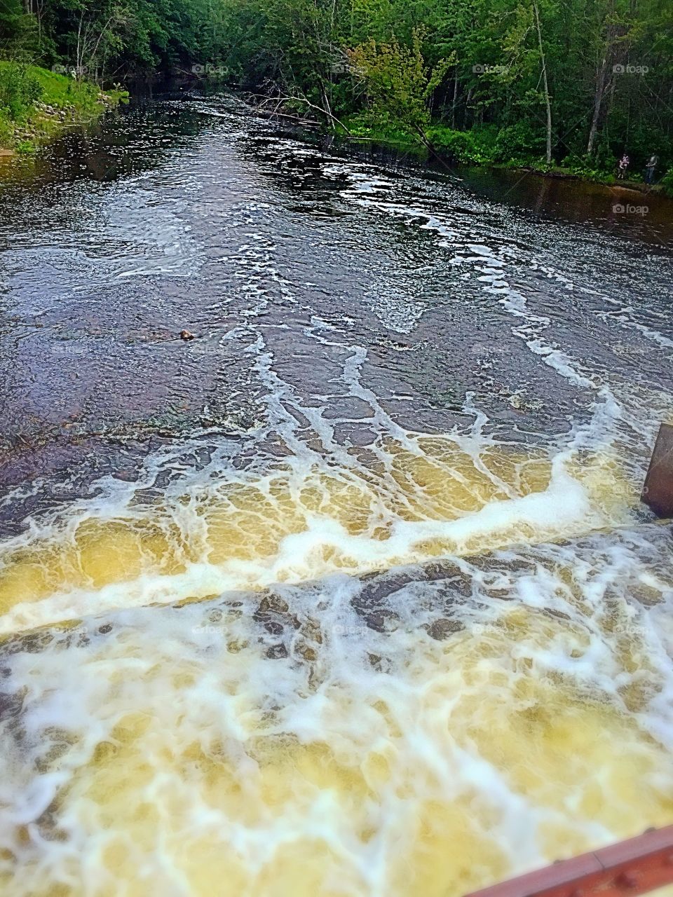 Rushing waters. Took a visit to a dam near Higgins Lake, Michigan