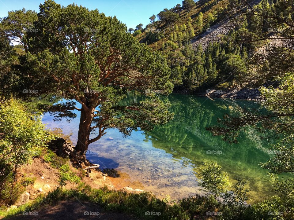 Bonnie Bonnie Scotland .. Green Lochan Aviemore ... soooo beautiful ... one of those places where a photo just doesn’t do it justice 💚