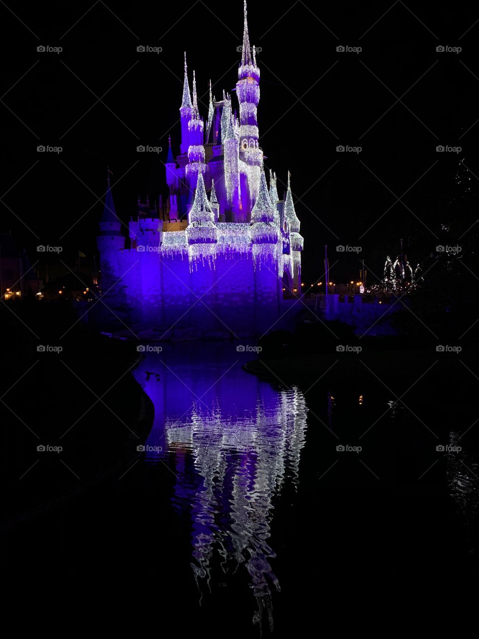 Cinderella castle 