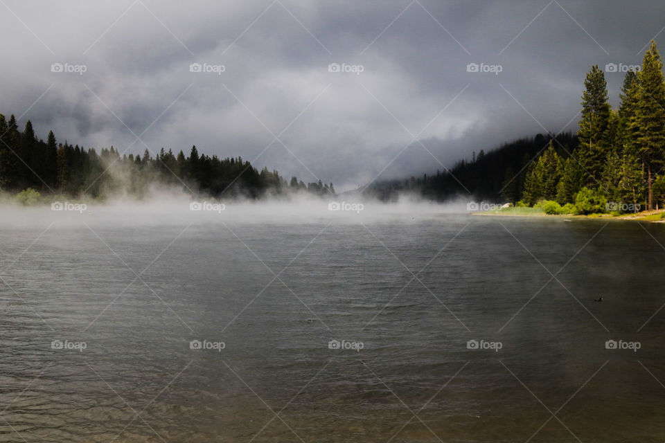 Foggy lake