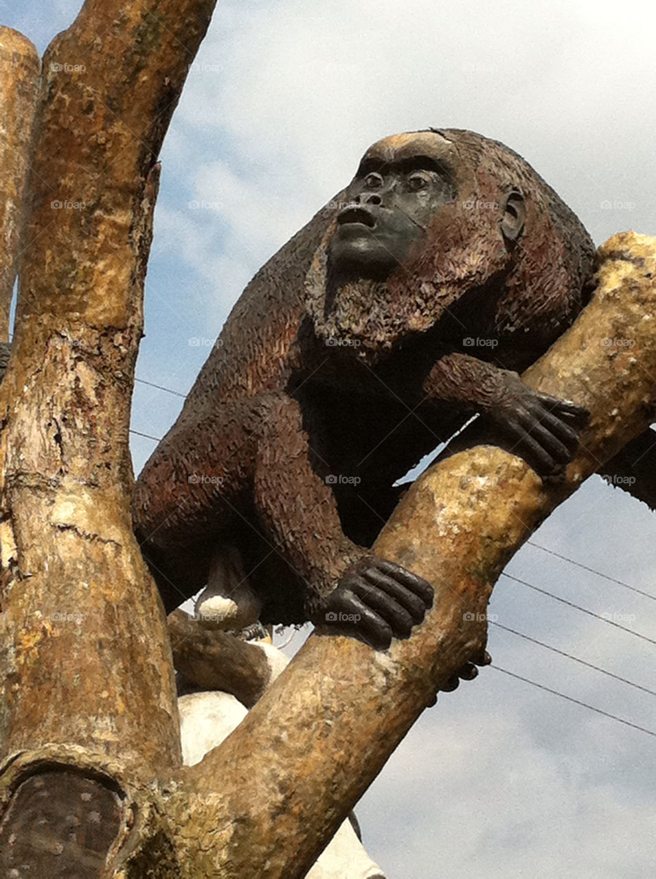 monkey costa rica wood sculpture by jpt4u