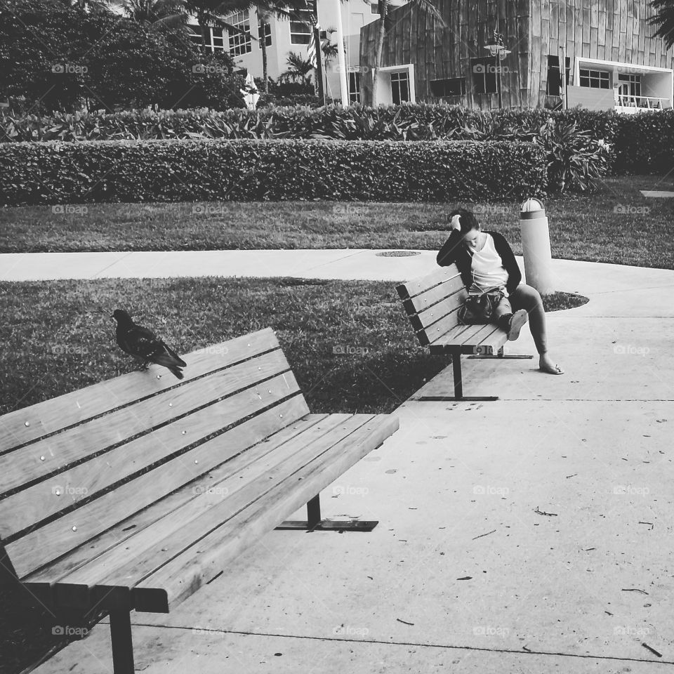 Reading at the park