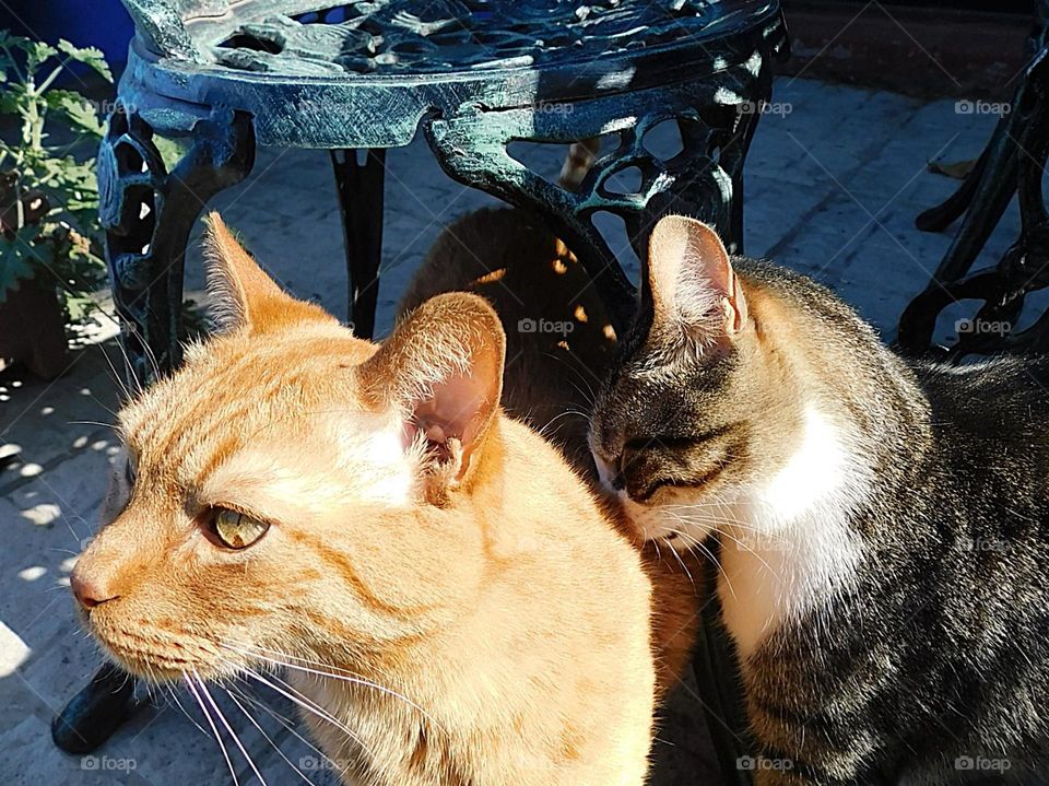 they love each other // Lupe & Kero // Nikon D3500