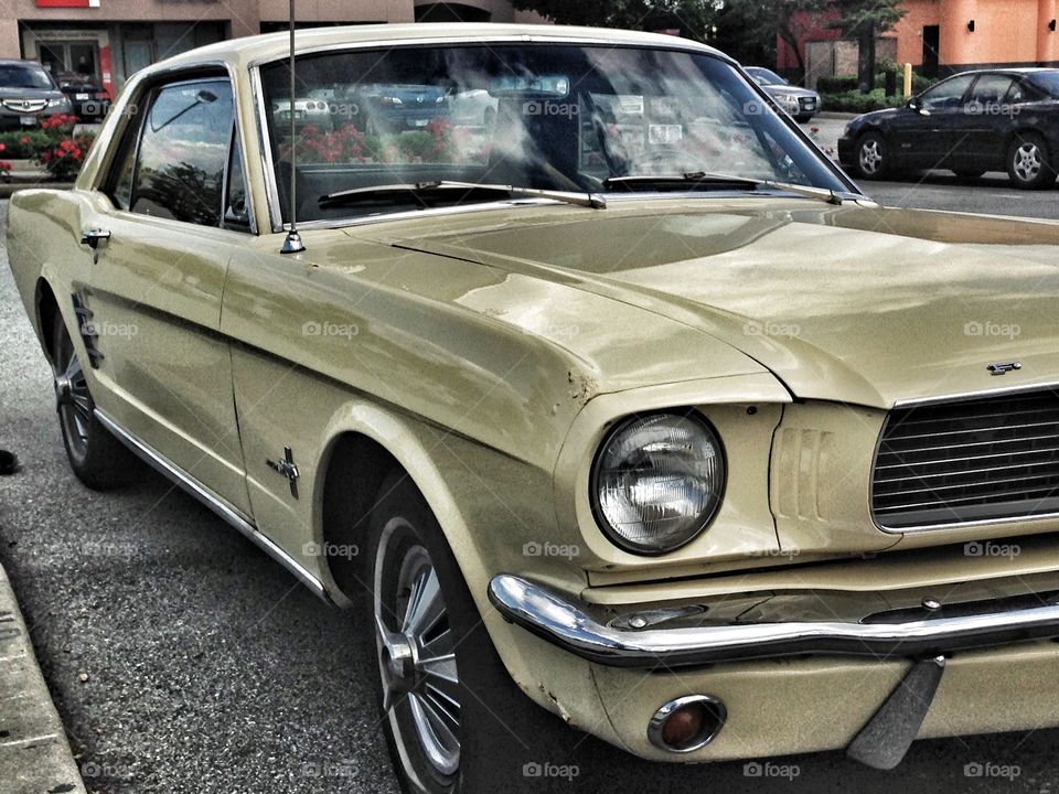 1966 Canary Yellow Ford Mustang. 1966 Canary Yellow Ford Mustang