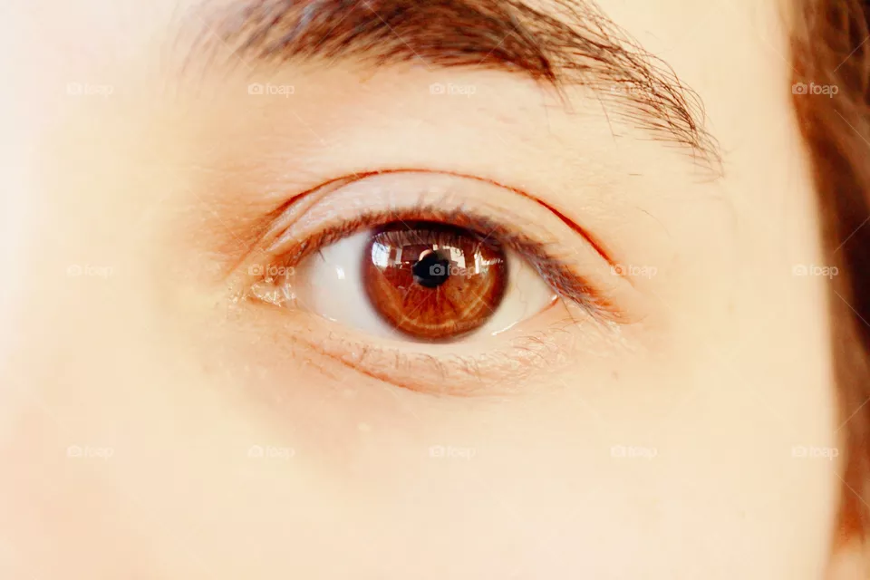 Eyes iris 