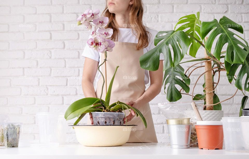 woman planting plants