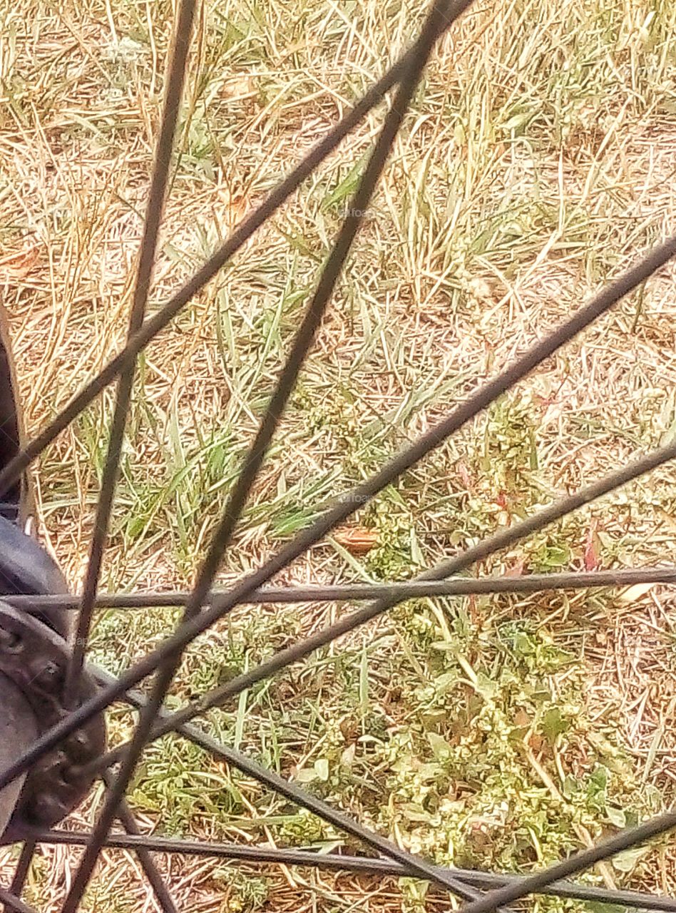 bicycle knitting needles велосипедные спицы