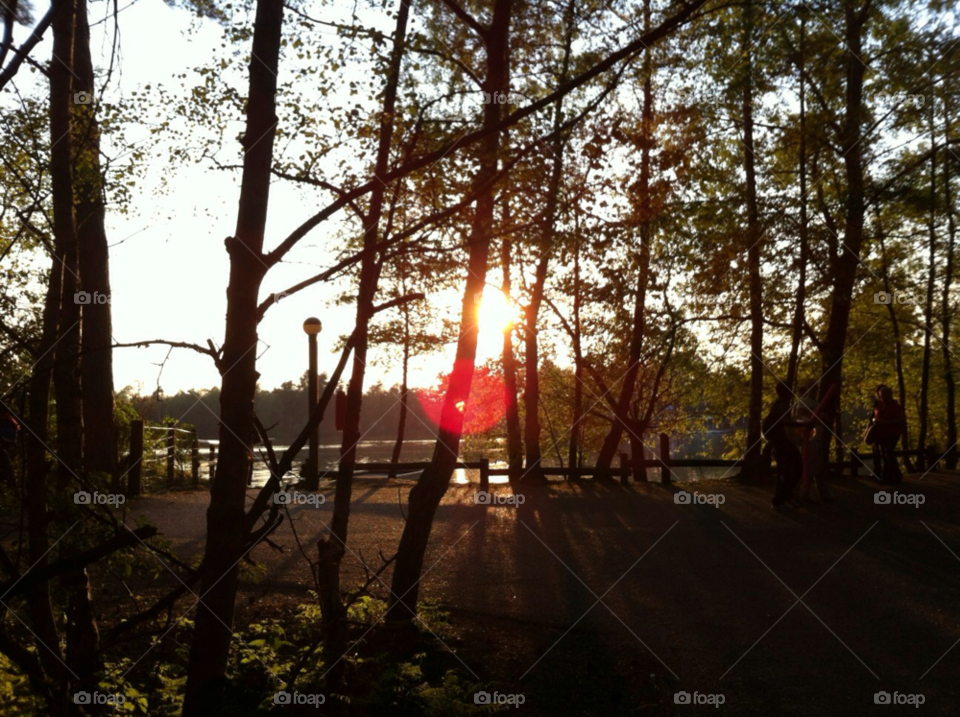 sunset trees forest lake by karlbinder