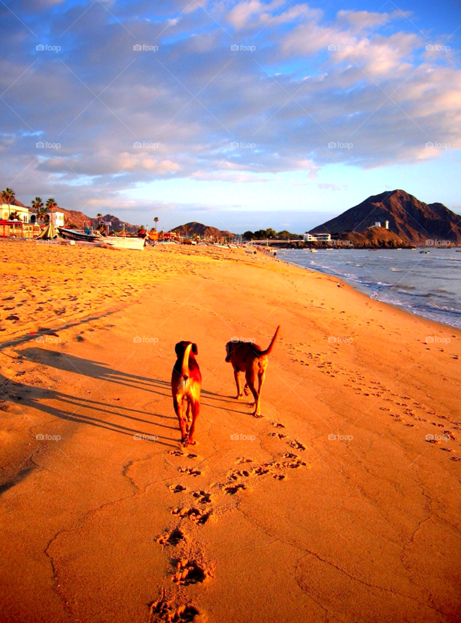 san felipe beach ocean mountain by stevehardley7
