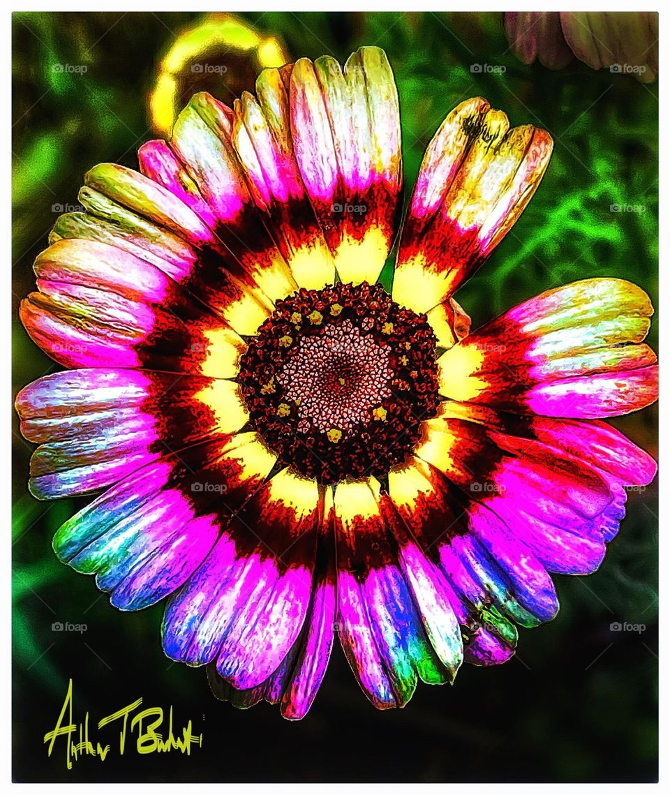Super colorful flower