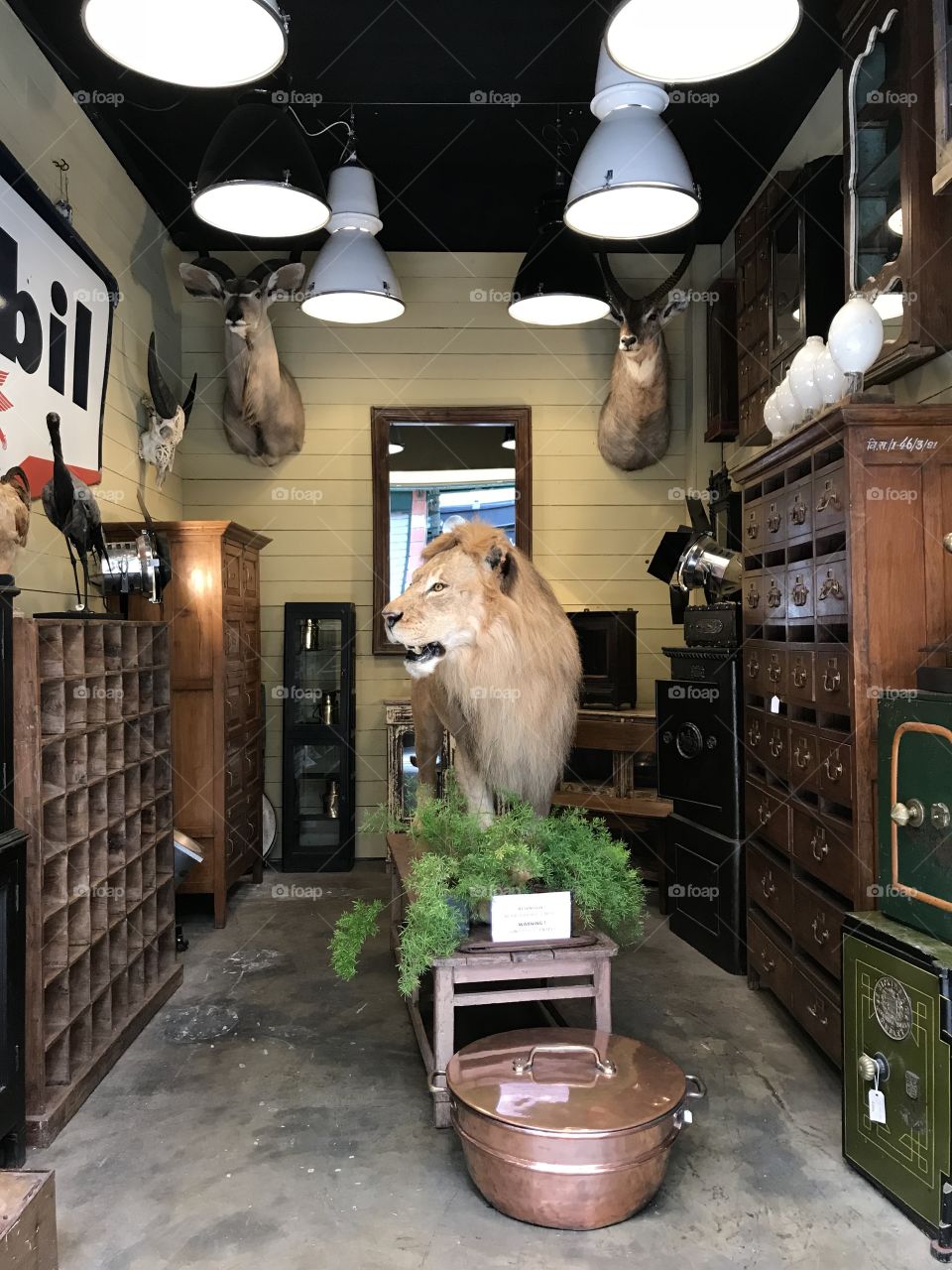 At a flea market in Paris 