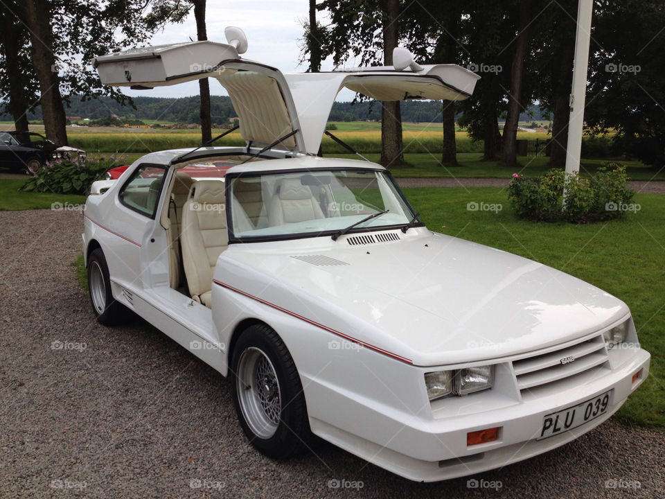 sweden white cool custom by zebra