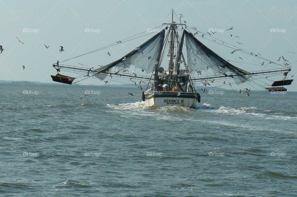 Fishing boat